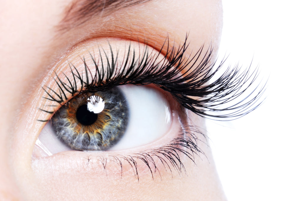 Ultra Lash MD Eyelash Conditioning Serum